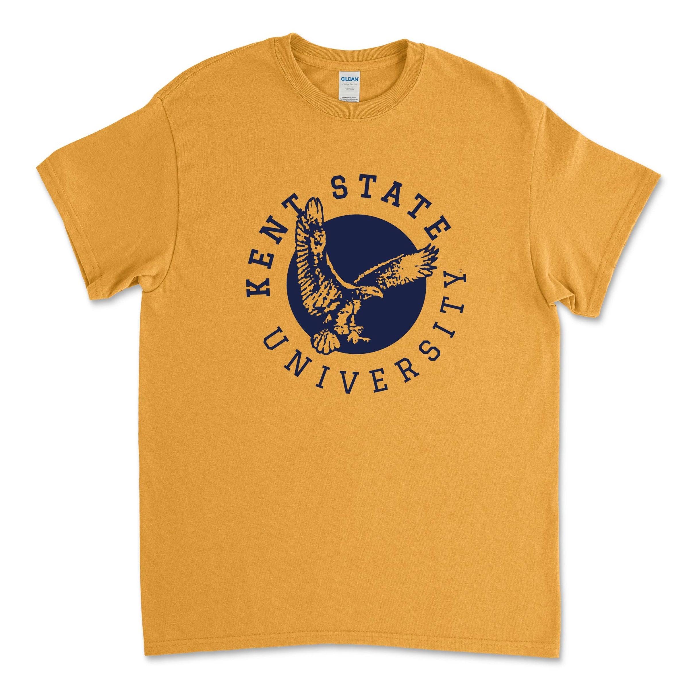 Retro Eagle In Circle